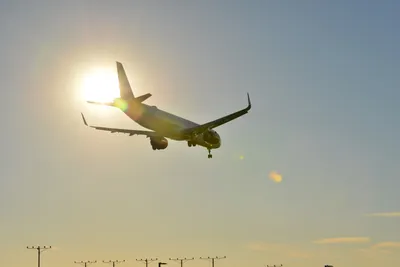 DSC_5696 (Large).JPG